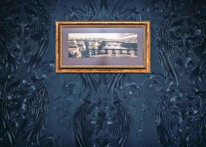 Contact 巴尔代约夫